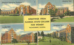 Greetings From Florida State College For Women Postcard