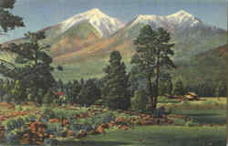 San Francisco Peaks Postcard