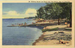 Bathing Beach And Shore Line Postcard