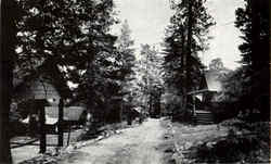 Pinecrest Mountain Resort Crestline, CA Postcard Postcard