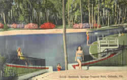 Sanlando Springs Tropical Park Postcard