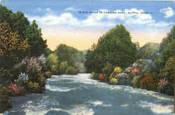 Black River In Cascade Park Elyria, OH Postcard Postcard