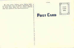 back