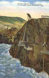 Stock #50912 Thumbnail