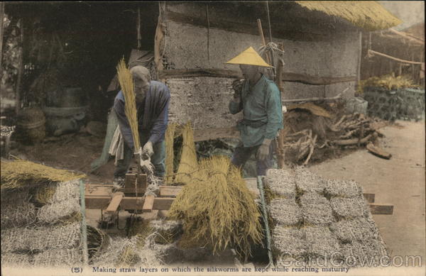 Making straw layers upon which the silkworms are kept while reaching maturity Japan