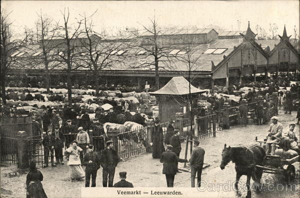 Veemarkt Leeuwarden Netherlands