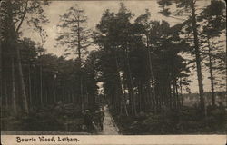 Bowrie Wood Postcard