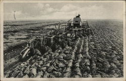 Ploegen in de Wieringermeer Holland Farming Postcard Postcard