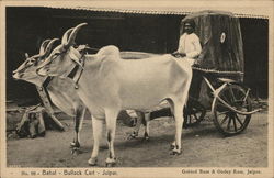 Bahal - Bullock Cart Bahal - Bullock Cart