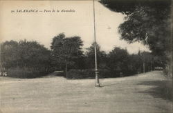 Paseo de la Alamedillo Postcard