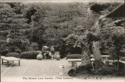 Bronze Lion Garden Bronze Lion Garden