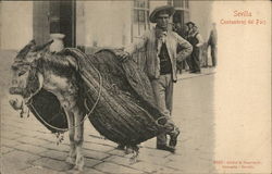 Sevilla - Costumbres del Pais Seville, Spain Postcard Postcard Postcard