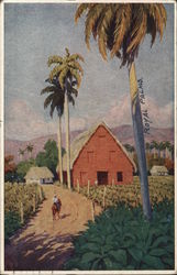 Tobacco Farm Postcard
