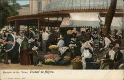 Flower Market Mexico City, Mexico Postcard Postcard