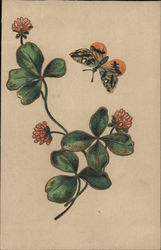 Butterfly and flowers Butterfly and flowers