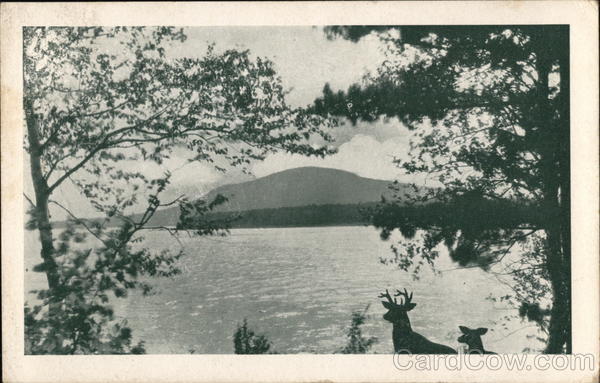 Hendersons Camps - Fishing, Happy Vacations, Hunting Jackman Maine