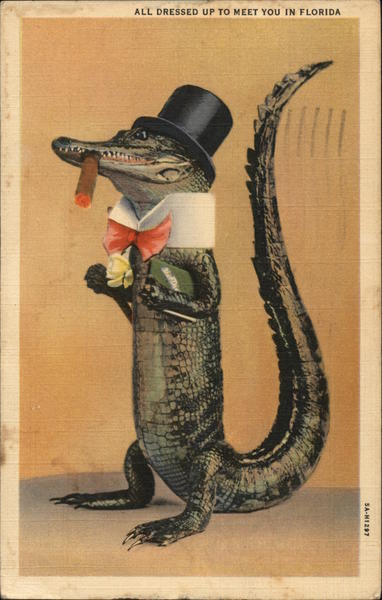 All Dressed Up to Meet You in Florida