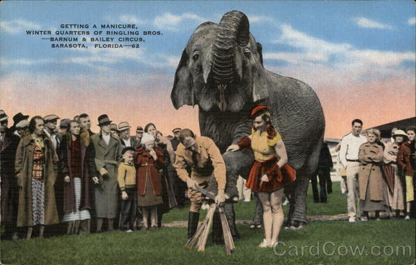 Getting a Manicure. Sarasota Florida