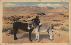 Desert Sweethearts Postcard