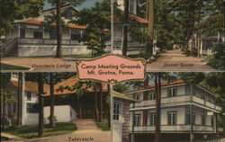 Camp Meeting Grounds Postcard