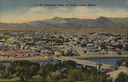 Bird's Eye View of City Ciudad Juarez, Mexico Postcard Postcard Postcard