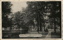 Campus View, State Teachers College Indiana, PA Postcard Postcard Postcard