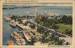 Yachts at Anchor in Biscayne Bay Miami, FL Postcard Postcard Postcard