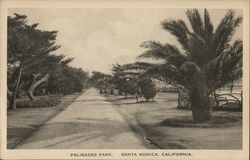 Palisades Park Santa Monica, CA Postcard Postcard Postcard