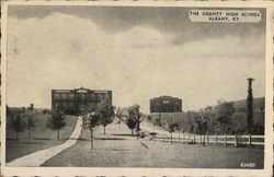 The County High School Albany, KY Postcard Postcard Postcard