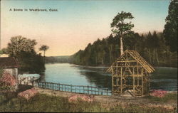 A Scene in Westbrook, CT Postcard Postcard Postcard