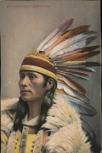Native American Man Wearing Headdress and Fur Native Americana
