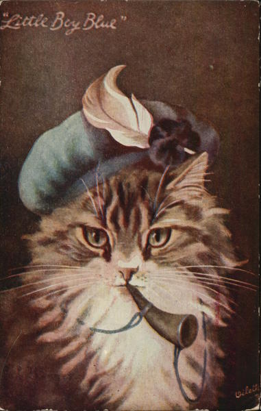 Little Boy Blue Cats