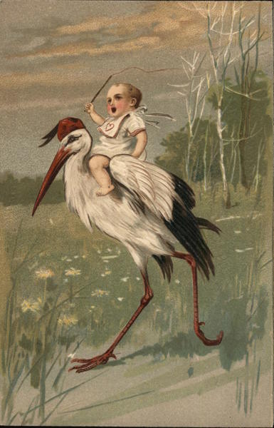 Baby Wearing Bib Riding on Stork's Back Babies