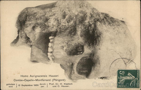 Skull of homo aurignacensis hauseri Cancelled on Front (COF)
