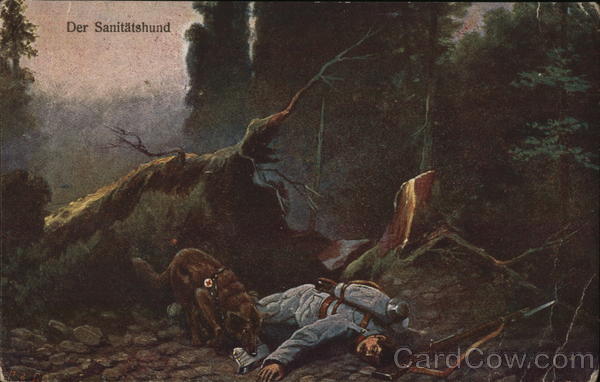 Casualty Dog Near Soldier Laying on Ground Military