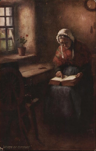 Older Woman Seated Near Window Reading Book Women