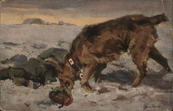 Medical Casualty Dog Picking Up Helmet of Soldier War Victim Postcard