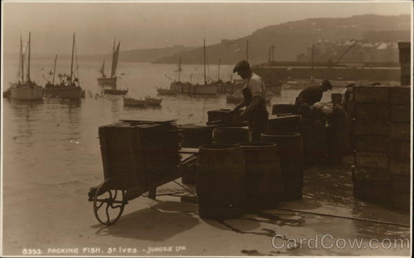 Packing Fish St. Ives England