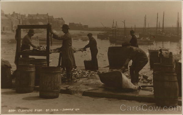 Cleaning Fish St. Ives England