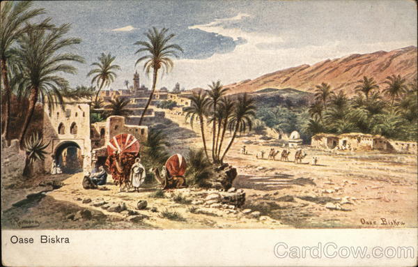 View of Oasis Biskra Algeria Africa