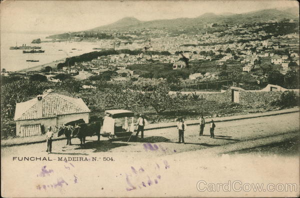 View of City Funchal Madeira Portugal