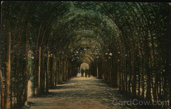 Laubengang Kolhern Austria