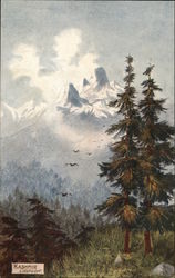 Kashmir Lidderwart Kashmir Lidderwart