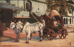 Jeypore Zenana Carriage Jaipur, India Postcard Postcard