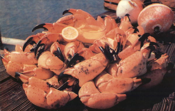 Islamorada Fish Company Florida Advertising