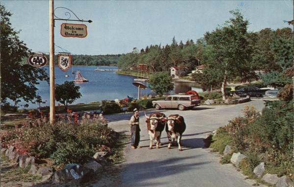 Champion Pair of Oxen Braemar NS Canada Nova Scotia