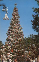 Christmas Tree Christmas Tree
