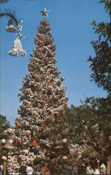 Christmas Tree Anaheim, CA Disney Postcard Postcard Postcard