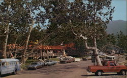 Yogi Bear Jellystone Camp Resort Postcard