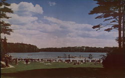 Lake of the Eagles Eagles Mere, PA Postcard Postcard Postcard